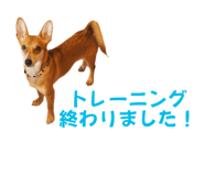 765604081
