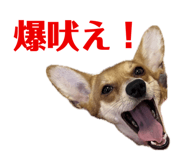 765604082
