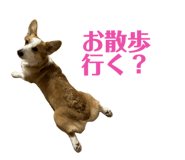 765604084