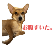 765604086