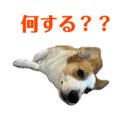 765604091