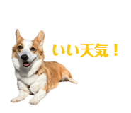 765604092