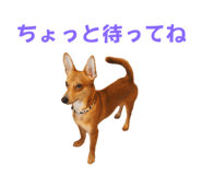 765604093