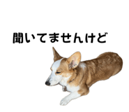 765604094