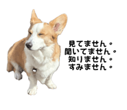 765604095