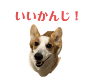 765604096