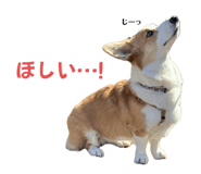765604097