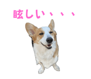 765604098
