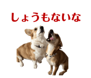 765604100