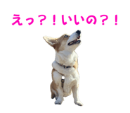 765604103