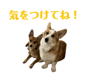 765604105