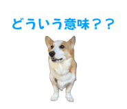 765604107
