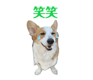 765604108