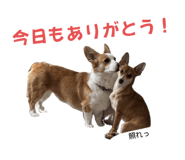765604110