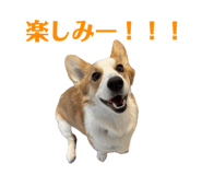 765604114