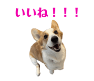 765604115
