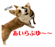 765604116