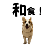765604118