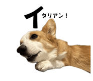765604120