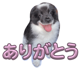 765608144