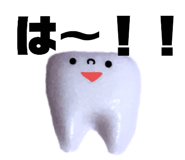 765608306