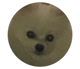 765609917