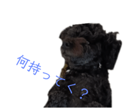 765611131