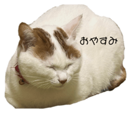 765613345