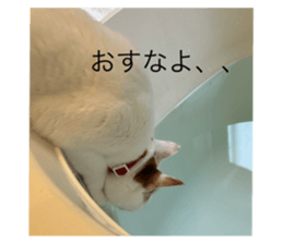 765613349