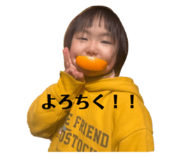 765619553