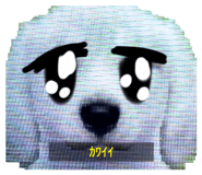 765619948