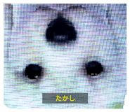 765619949