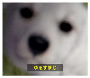 765619951