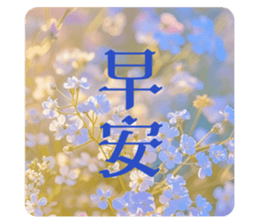 765629537
