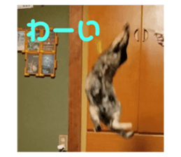 765631567