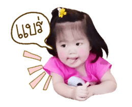 76564811