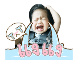 76564816