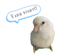 765662340
