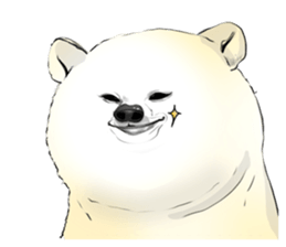 765662844