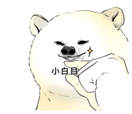 765662852