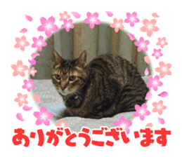 765667129