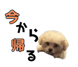 765667200
