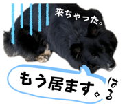 765670266