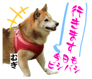 765670268