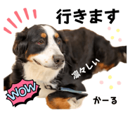 765670271