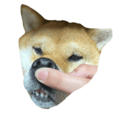765673671