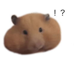 765673730