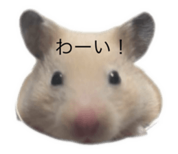 765673731