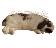 765673970