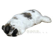 765673972